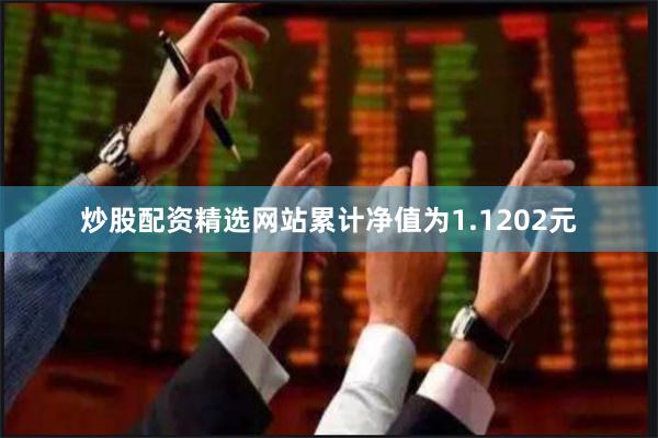 炒股配资精选网站累计净值为1.1202元